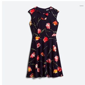 WISP//Andie Knit Dress